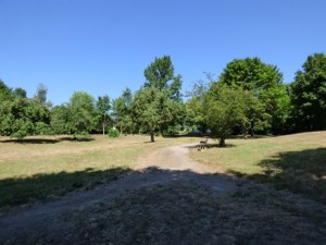 Für den Bereich des Klosterparks wird ein Bebauungsplan aufgestellt.